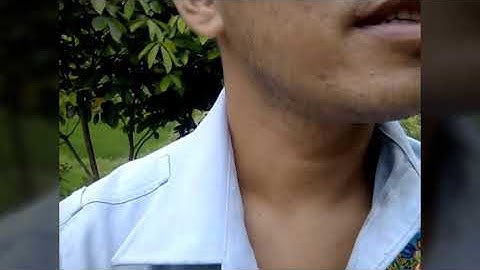 Chia sẻ cây phèn đen loại thuốc sơ cứu rắn độc cắn