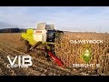 Da Weyböck drischt's Maisdreschen mit dem Claas Lexion 750 TT