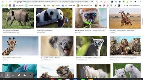 3.1 Video 11 Insert Image in Google Drawings