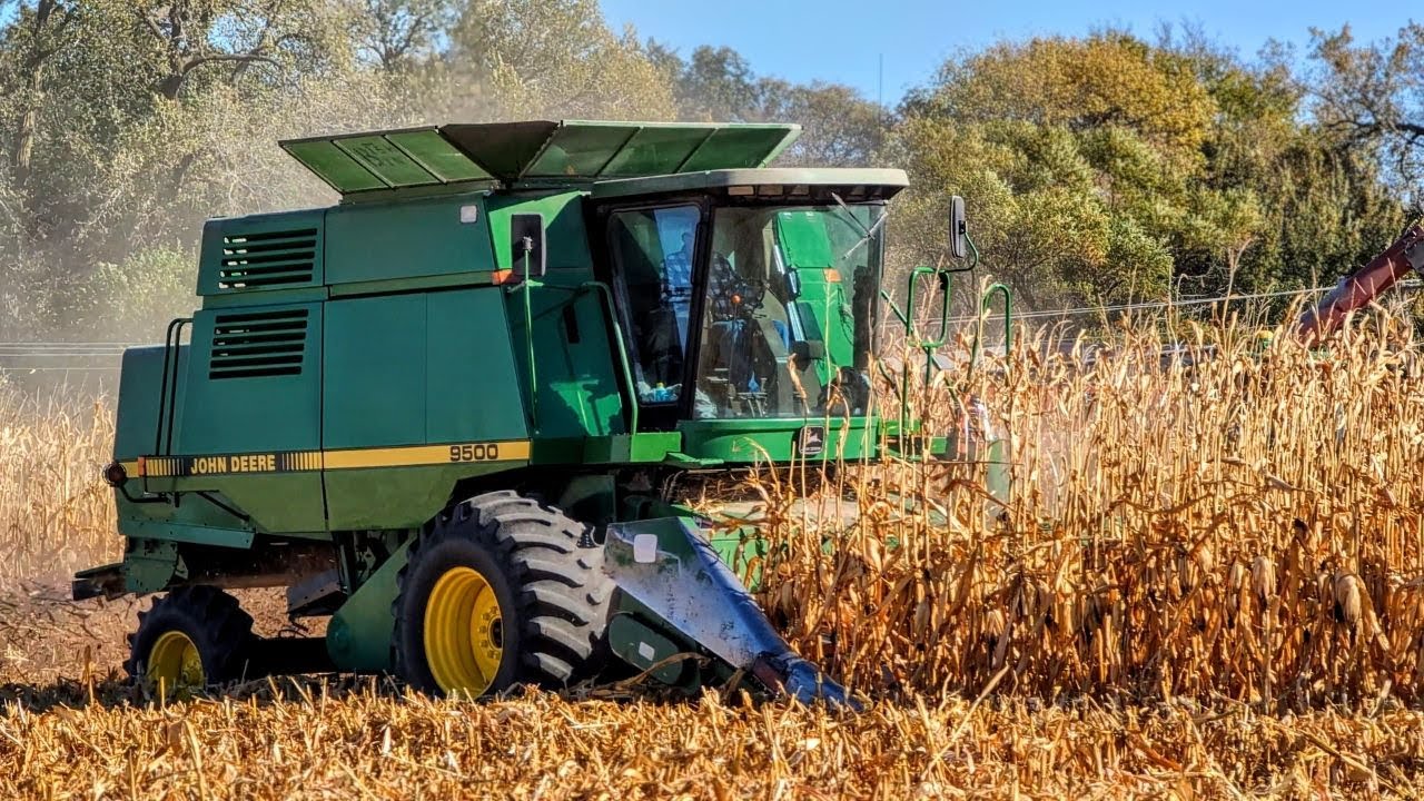 John Deere 9500 Combine Corn Harvest 2024 Pure Sounds