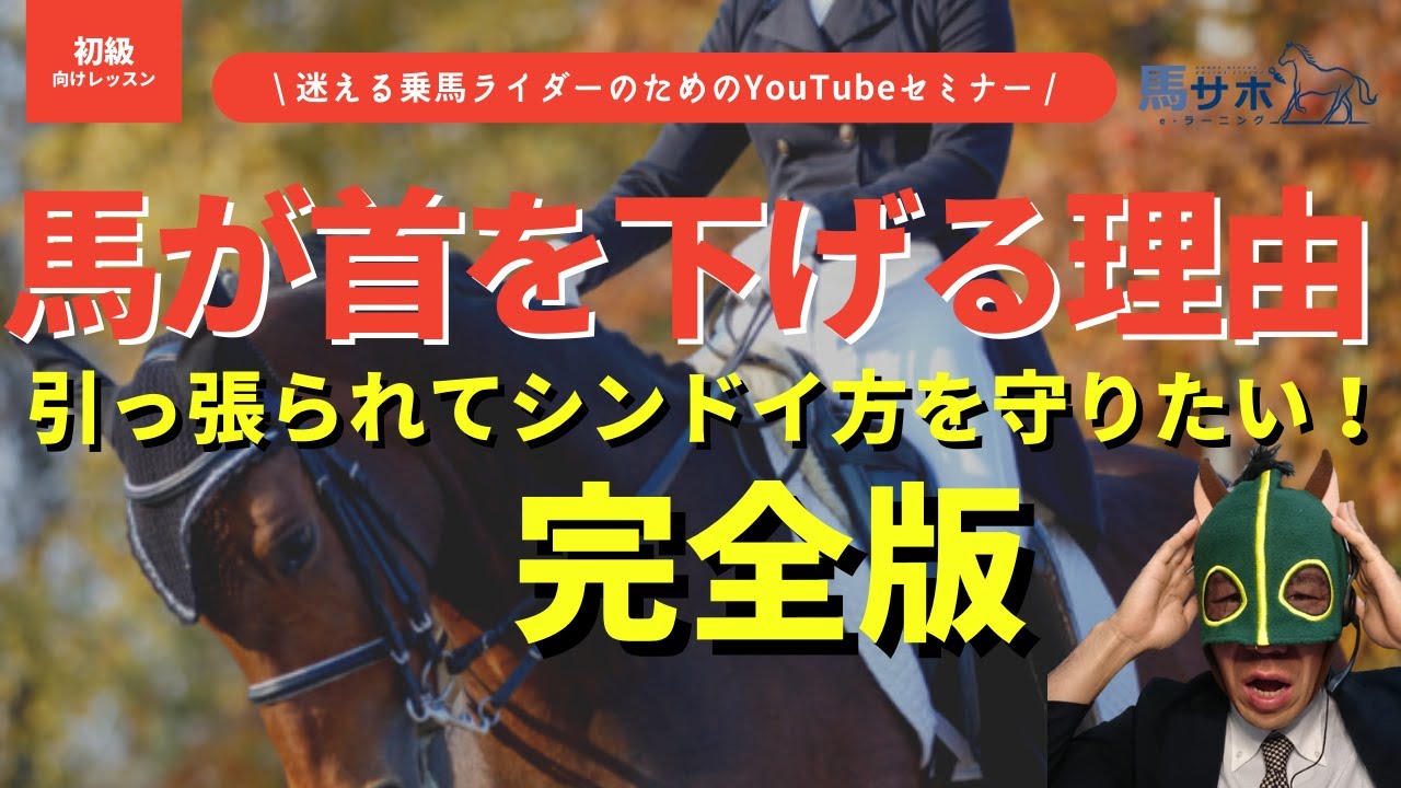 【完全版】乗馬で馬が頭を下げる理由＆誰でもできる簡単解決法3選