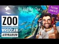 ZOO WROCŁAW Afrykarium - Ciekawe miejsca w Polsce 🇵🇱 | ForumWiedzy