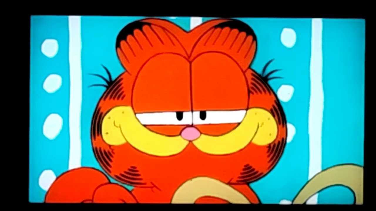 Garfield Mails Nermal To Abu Dhabi YouTube Garfield Mails Nermal To Abu Dhabi YouTube