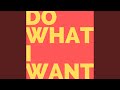Do What I Want mp3