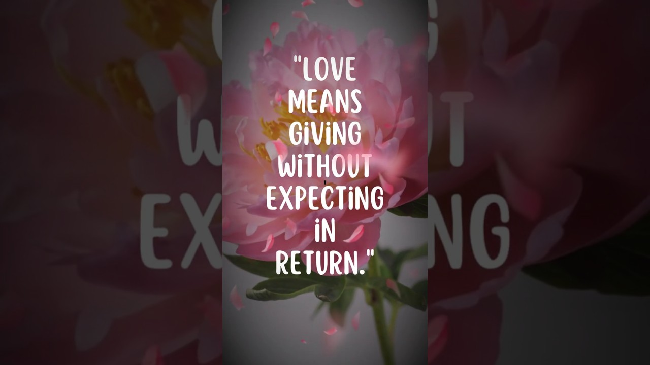 The Real Meaning of Love: Give Without Expecting Anything Back ❤️