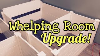 Upgrading the Whelping Room! New Whelping Boxes Breeder Organizes