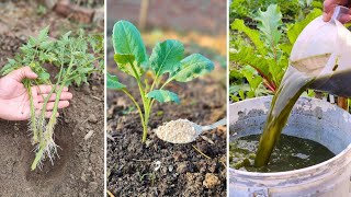 I Tried These FREE Secrets & My Garden Went WILD (No Chemicals!)