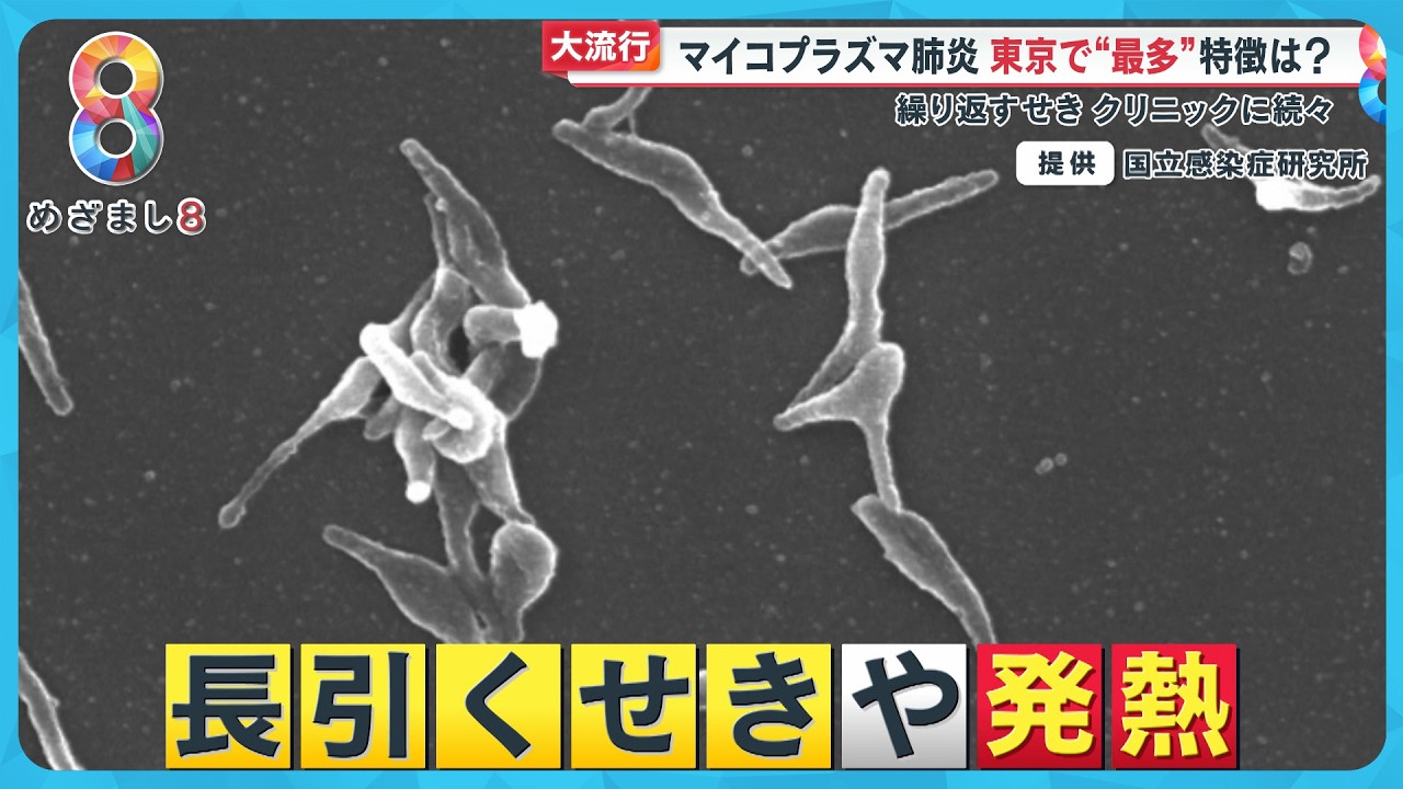 肺炎 流行っ てる
