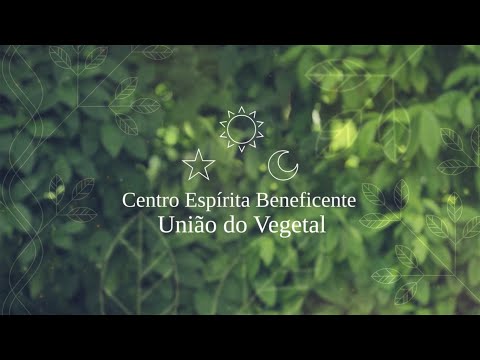 O Pequeno Príncipe e a mensagem da rosa na UDV - Centro Espírita  Beneficente União do Vegetal