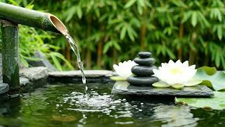 Minimalist Bamboo Fountain for Sleep Therapy | Gentle Piano Notes, Fountain Sounds and Garden Calm screenshot 3