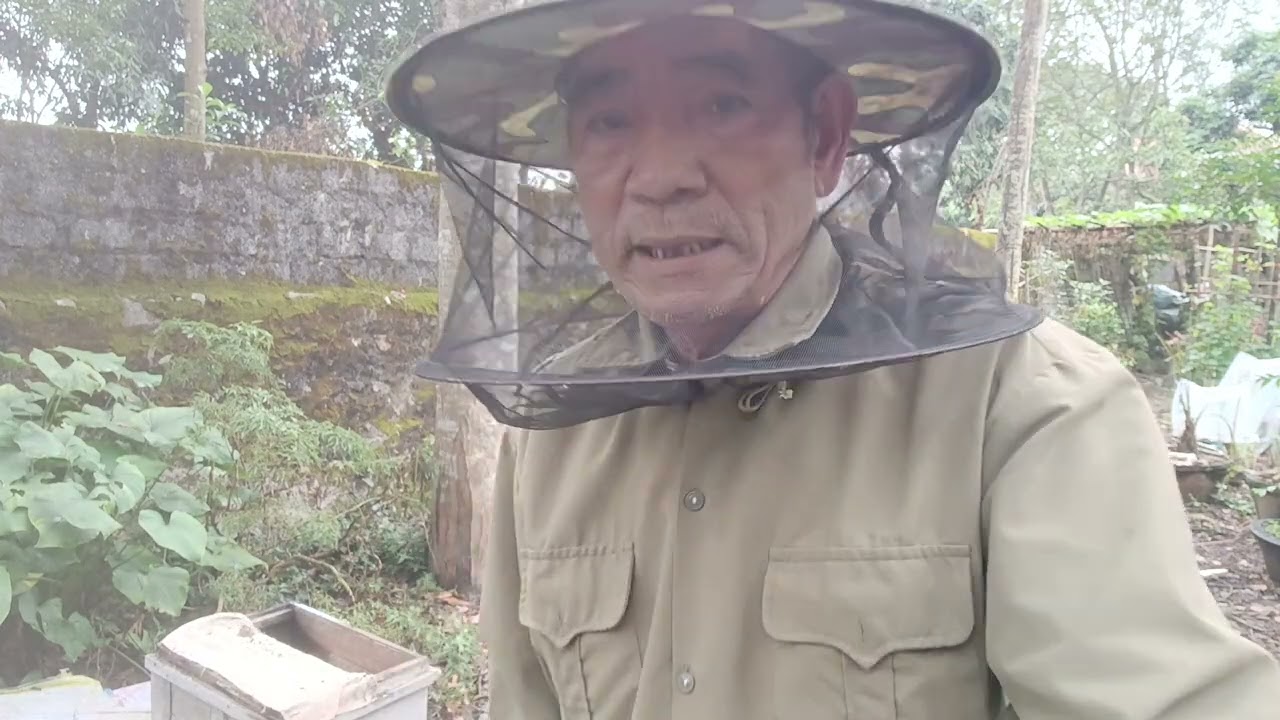 Cách tạo thế cho trại ong s đ t 0355571844