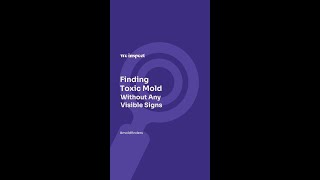 Finding toxic mold without any visible signs