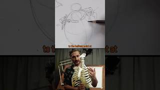 How to draw the clavicle #howtodraw #artschool #figuredrawing #anatomy