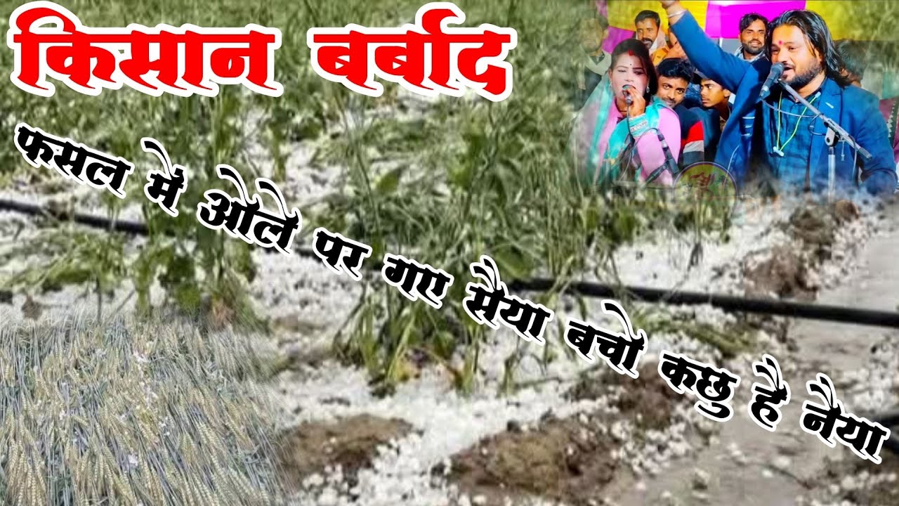 #ओलावृष्टि फसल में ओले पर गए सैया बचो कछु है नैया 😭 रामप्रकाश तूफानी रामदेवीसरगम 😭 Ramprakash tufani