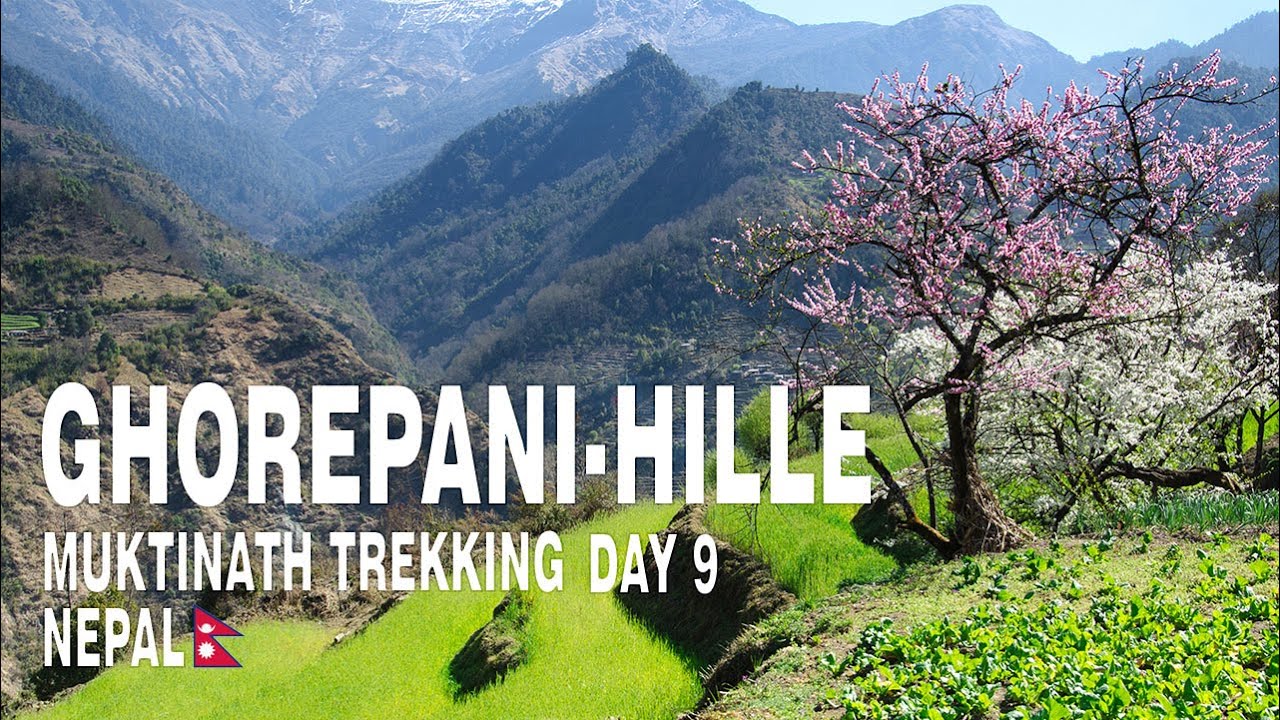 Nepal Annapurna Trekking, dzień 9: Ghorepani-Ulleri-Hille