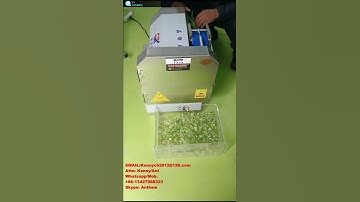 CH-20A vegetable cutting slicing machine , green onion slicer cutter