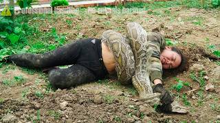 72 Hours Survival 😱 Girl Trapped by a Giant Python on the Farm – No Way Out!