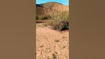 200* ماتيسر من سورة يونس برواية ورش بالصيغة المغربية الأصيلة#حسن الفاضلي#