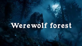 🎧MOONLIT HUNT : Werewolf Forest Dark ambient music soundscape