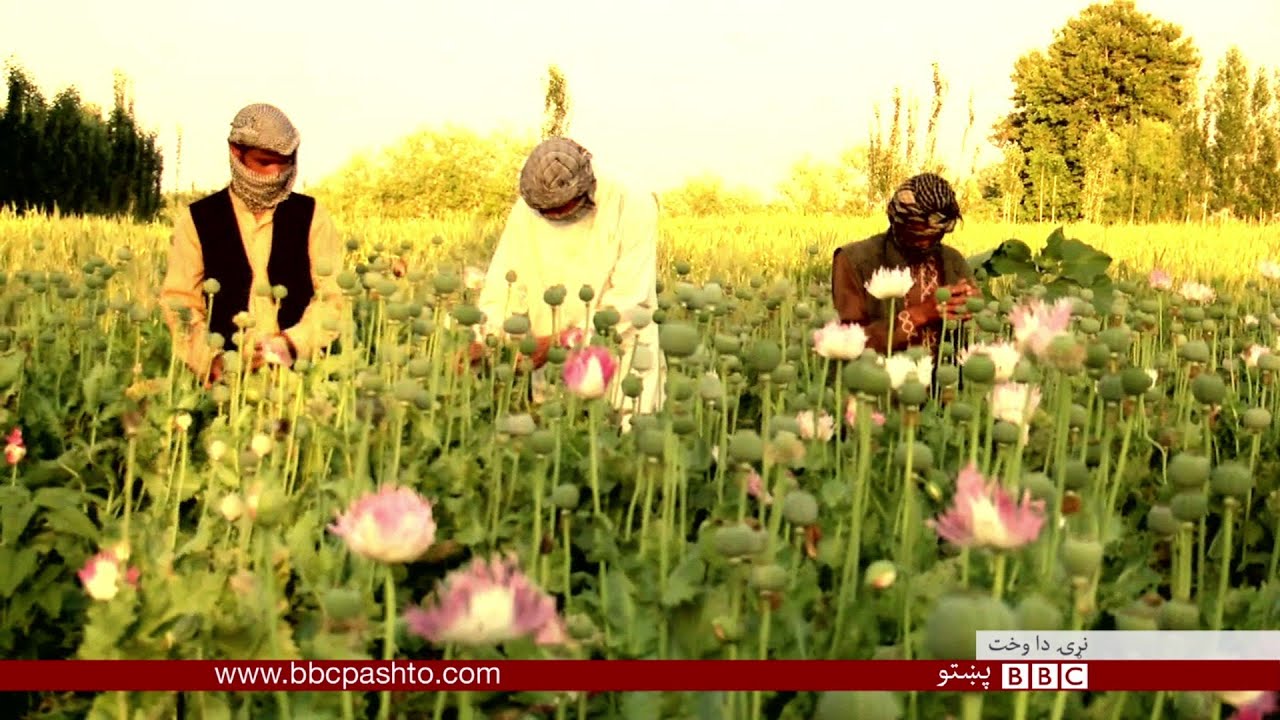 BBC Pashto TV Naray Da Wakht 21 May 2016