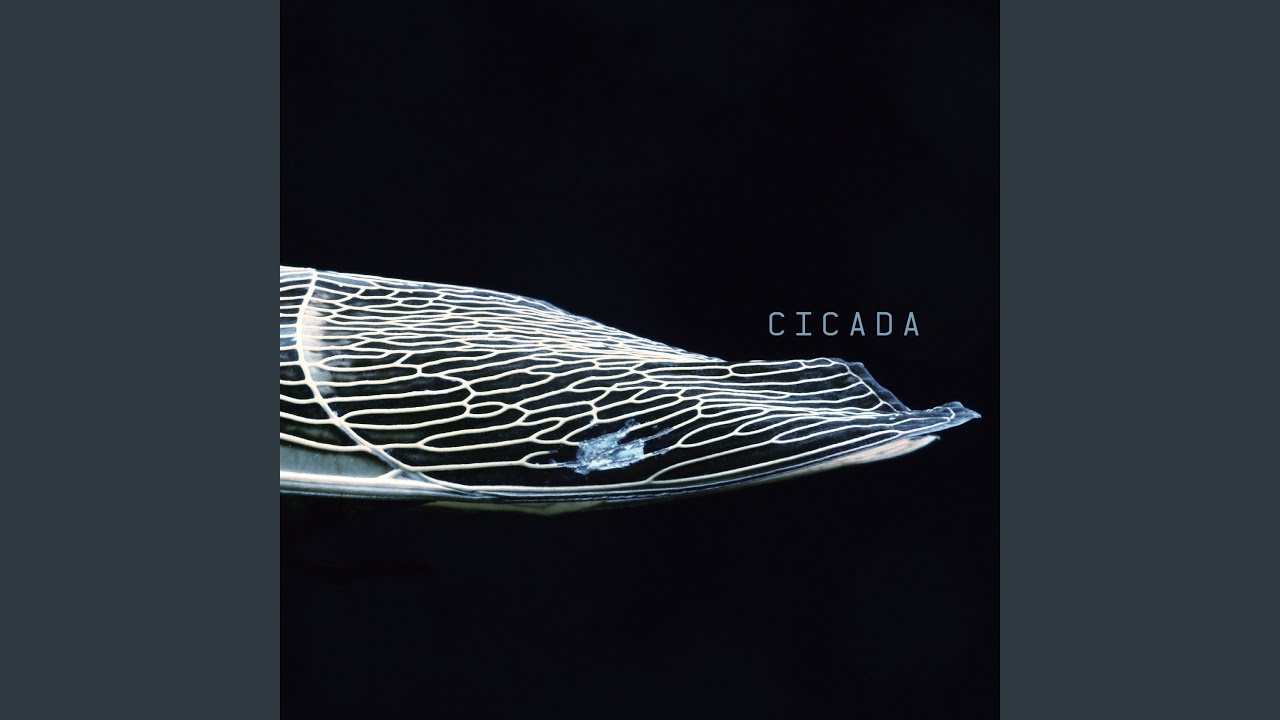 Παρακολούθηση D.C στο YouTube Παρακολούθηση D.C στο YouTube