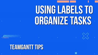 Using Labels to Tag & Categorize Tasks | TeamGantt Tips