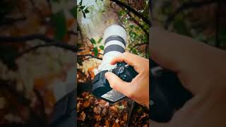 📸 A Work Of Art?! 📸 Mountain Bike Photography! #shorts 📸 A Work Of Art?! 📸 Mountain Bike Photography! #shorts