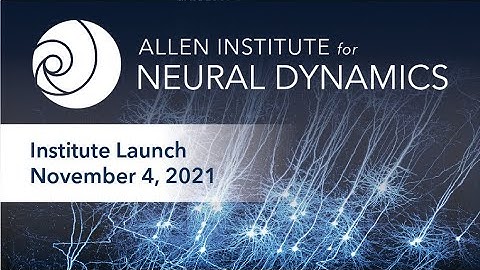 Allen Institute for Neural Dynamics Launch