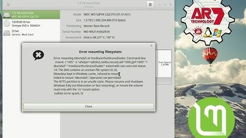 Error Mounting Filesystem - Linux Mint