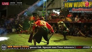 Bantengan Suro Loss Ga Rewel - NEW WIJOYO PUTRO Live JOHO PACE NGANJUK 2019