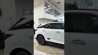 NEW 2025 LEXUS RX ACCESSORIES