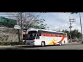 JAM Liner 952 - 2008 Daewoo BV115 Tourist Economy