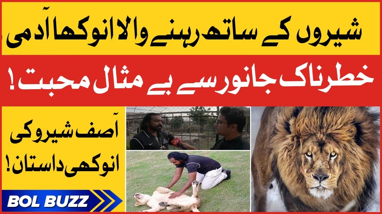Lion Trainer Asif Shero Exclusive Interview | Multi Zoo Islamabad | Bird Aviary | BOL Buzz
