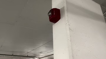 Notifier Evac Tone Test #firealarm #firealarmsystems #notifier #firealarmfriday