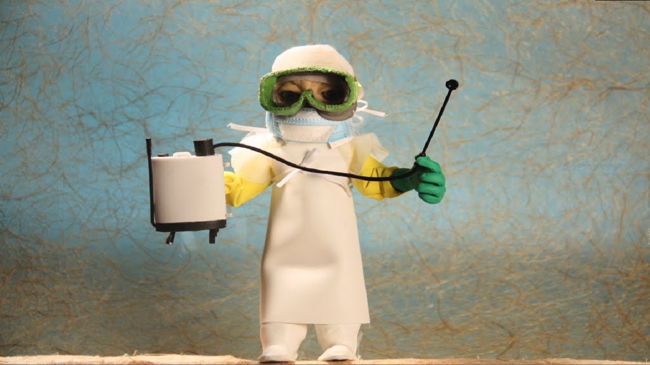 動画 遺体の適切な処置 室内の消毒 エボラ流行地での活動を伝えるストップモーションアニメ 活動ニュース 国境なき医師団日本