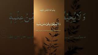 Ayatul kursi Quran tilawat subscribe like sheer #duet viral