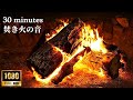 焚き火の心地よい音で30分のくつろぎタイム【睡眠用・癒し・作業用・ASMR】焚き火の音で睡眠導入