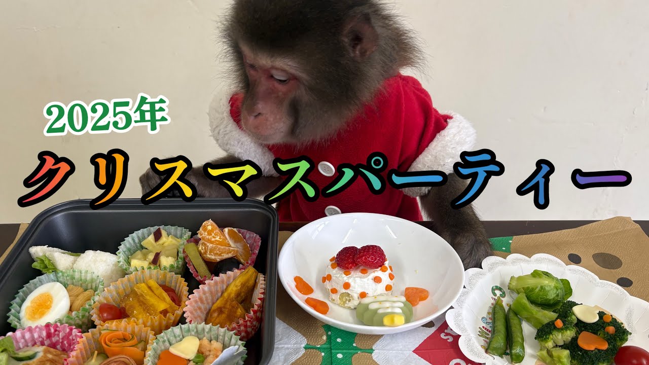 おさるサンタのクリスマス【戦豆の猿まわし】