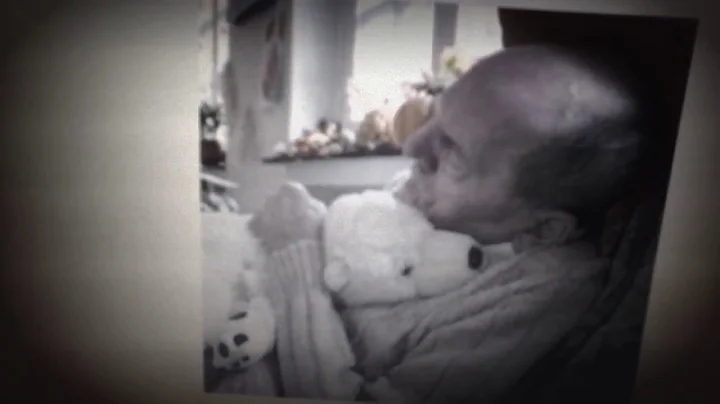 vonSteinwiesen - amor  rhodotron