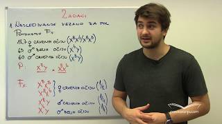 Zadaci Iz Genetike Nasleđivanje Vezano Za Pol Genetika, Biologija