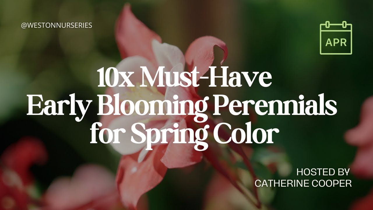 10 Best Spring Perennial Blooms - Must-Haves for Showy Color & Foliage ...
