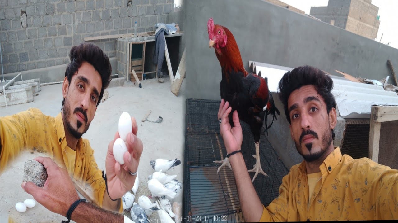 Sardi Me ya Hotha Hai!Ab Anda Kise Kam Ka Nai🥺