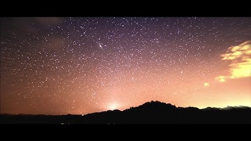 Interim - Molly (Official Video) #9