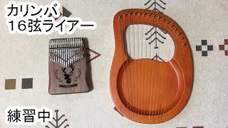 【16弦ライアー】楽器練習中