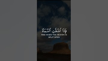 #محمد_اللحيدان #تلاوة #آيات #القرآن_الكريم #quran #قرآن #تلاوات #القرآن #تلاوة_خاشعة #قران_كريم#ترند