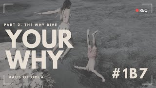 Why   The WHY Dive Why Pt 2 2 esv2 90p bg 10p