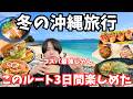 【沖縄旅行】夏より良いかも?冬の沖縄本島でグルメと観光を巡るドライブ旅行!2泊3日沖縄旅行vlog総集編
