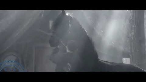 The Willow Tree March ( Friesian Music Video )