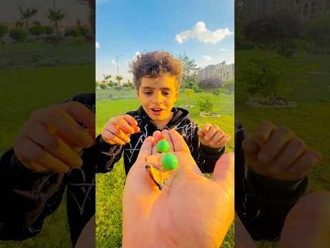 كلو كل المربيلا