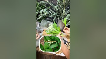 Bó Hoa Cầm Tay Cô Dâu-Đập Hộp Hoa Linh Lan-Phần 2